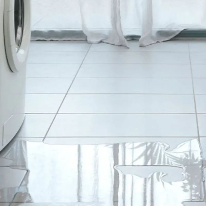 Appliance Leak Cleanup in East Dubuque, IL