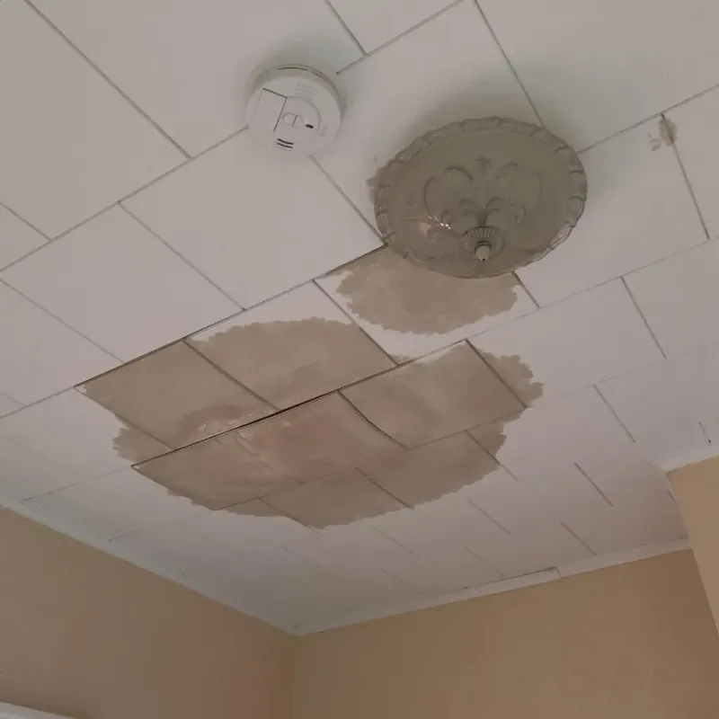 Ceiling Water Damage Repair in East Dubuque, IL