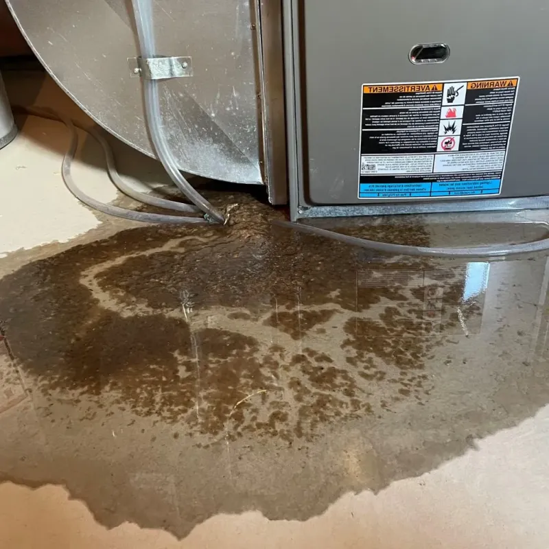 Pipe Burst and Leak Restoration in East Dubuque, IL