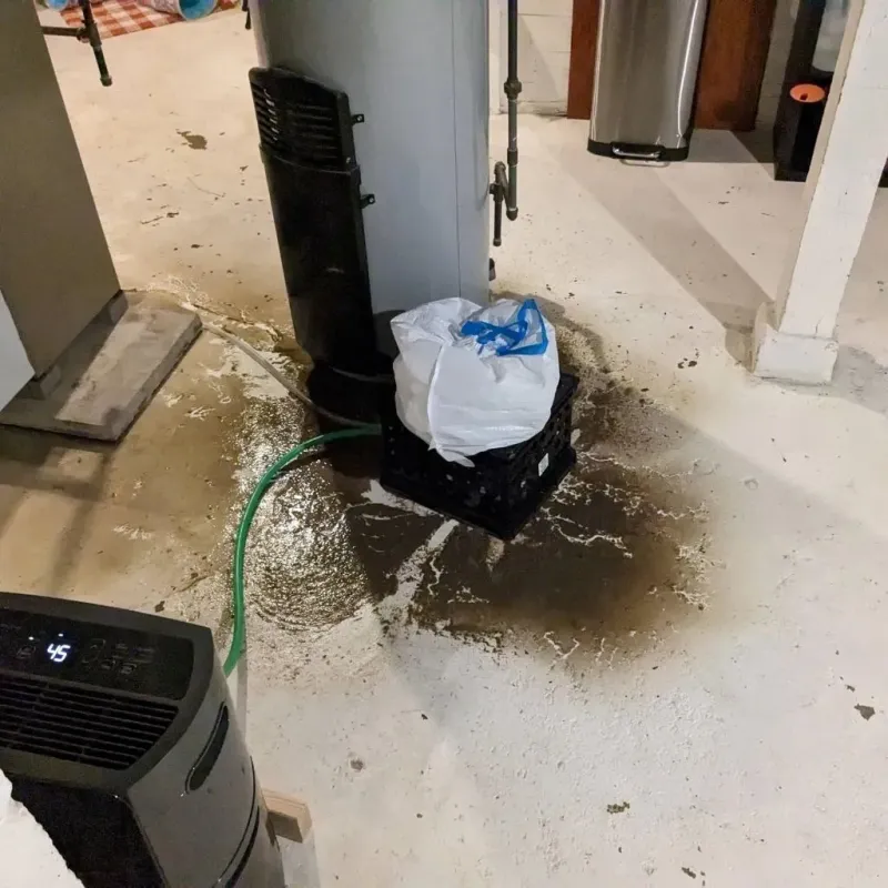 Sewage Backup Cleanup Service in East Dubuque, IL